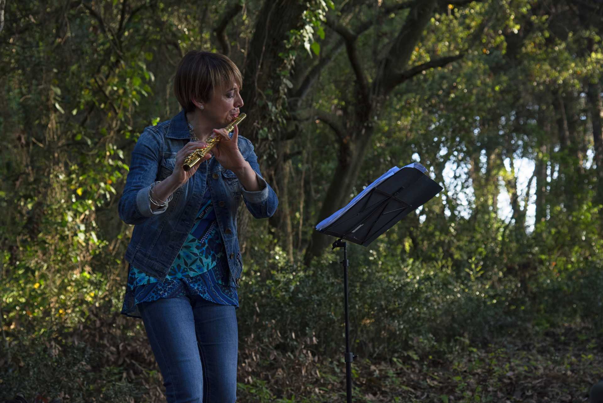 Due passi in musica nella villa di Plinio